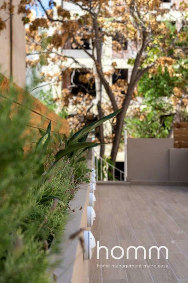 Nemeseos Ground Floor Homm Apartment With Roof Garden And Wading Pool 아테네 외부 사진